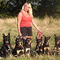 Tracy Huxtable - Devonairs Working Kelpies